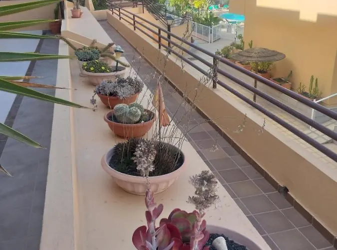 Casa El Nidillo Διαμέρισμα